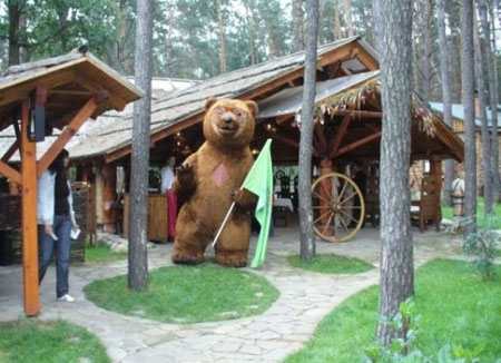 большой бурый медведь 